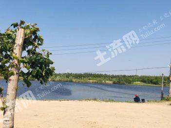 哈尔滨方正县 150亩 水库 +600亩山地经营权转让