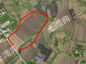 南京高淳区 21亩 水田 经营权转让