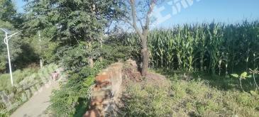 咸阳长武县 8亩 旱地 经营权出租