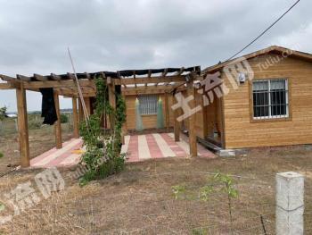 海南文昌市 360亩 人工牧草地 经营权出租