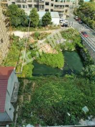 衡阳衡山县工业园神龙酒店旁边13亩工业用地使用权转让