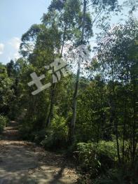 广安邻水县 600亩 其它林地 经营权转让