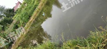 黄冈浠水县 135亩 坑塘水面 经营权转让