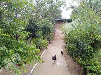 龙岩武平县 100亩 有林地 经营权合作