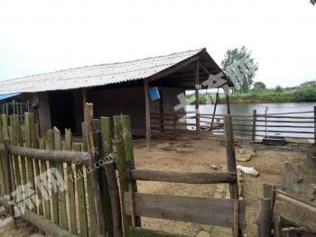 鄂州华容区 100亩 农场 经营权转让