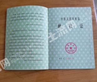 保定涞源县375亩林地-有林地经营权转让