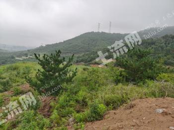 烟台福山区400亩荒山使用权出租