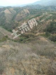 玉溪新平彝族傣族自治县200亩其它林地经营权转包