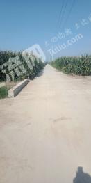 周口太康县 300亩 水浇地 经营权出租