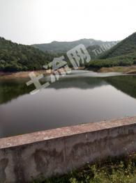 随州随县 510亩 乔木林地 经营权出租