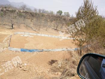 晋中左权县 70亩 畜牧养殖用地 经营权 出租