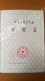 云南大理 1600亩 有林地 经营权转让