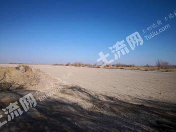 巴音郭楞且末县 130亩 水浇地 经营权出租