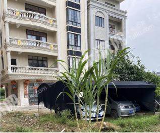 茂名电白区 100平米 宅基地 使用权出租