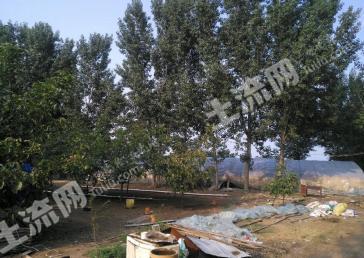 焦作武陟县 11亩 畜牧养殖用地 经营权出租