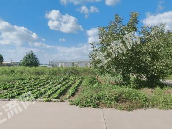 石家庄辛集市 13亩 工业用地 使用权出租