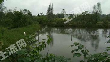 资阳安岳县 60亩 水产养殖用地 经营权转让