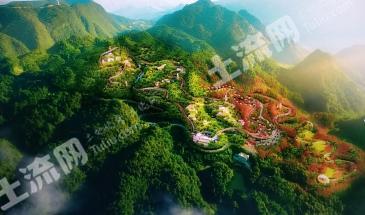 重庆万盛区 200亩 有林地 经营权合作