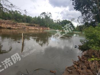 玉林陆川县 7亩 坑塘 经营权出租