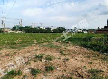 漳州芗城区 50亩 空闲地 使用权出租