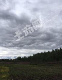 绥化兰西县 45亩 空闲用地 出租