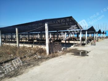 廊坊固安66亩畜牧养殖用地低价经营权转让