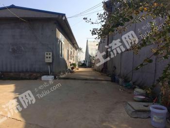 烟台福山区 5亩 水浇地 经营权转让