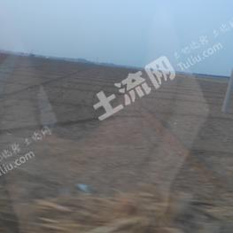 石家庄高邑县 4亩 水浇地 经营权转让