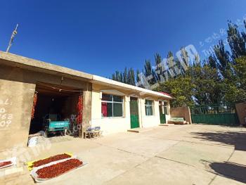 吴忠青铜峡市 357平米 农家庭院 出租