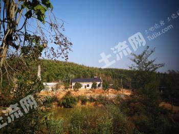 宣城广德县 300亩 竹林地 经营权转让