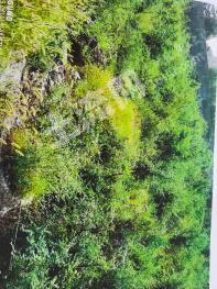 济南钢城区30.5亩城镇住宅使用权出让