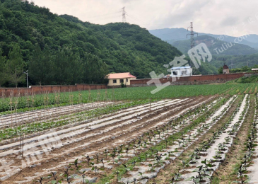 本溪溪湖区60亩耕地经营权出租