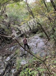 洛阳栾川县 10000亩 其它林地 经营权合作