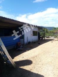 普洱市宁洱哈尼族彝族自治县 6000亩 旱地经营权 转包