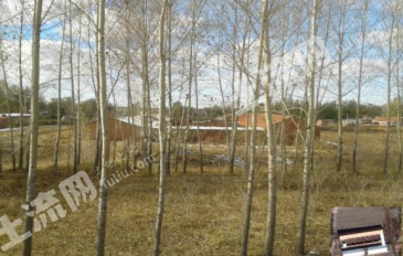 齐齐哈尔富裕县 12亩 综合养殖用地 经营权出租