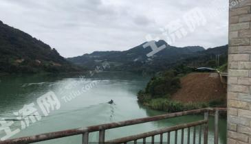 河池东兰县 200亩 有林地 经营权出租