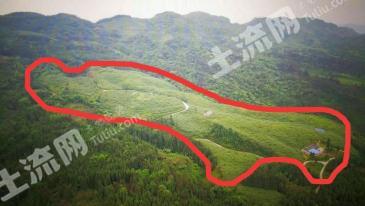 雅安荥经县 150亩 果园 经营权转让