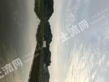 常德桃源县 50亩 坑塘 经营权转让