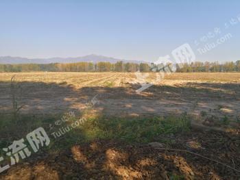 北京延庆区 400亩 水浇地 经营权出租