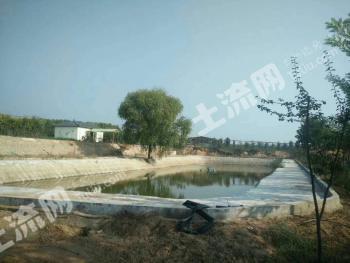 漯河舞阳县 55000平米 农家庭院 出租