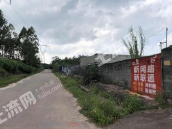 钦州钦南区 8亩 旱地 经营权出租