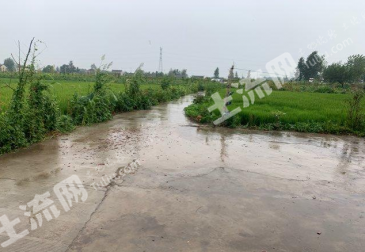 盐城亭湖区 100平米 农家庭院 使用权出租