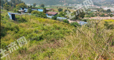 红河个旧市 10亩 设施农用地 经营权出租