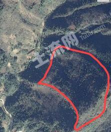 恩施宣恩县 210亩 其它林地 经营权转让