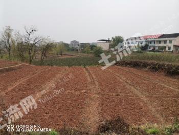 衡阳衡南县 3000亩 水浇地 经营权出租