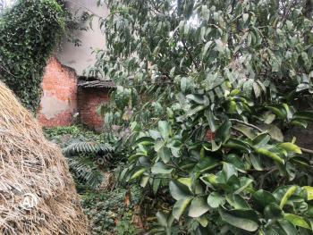 德陽廣漢市 666平米 宅基地 使用權(quán)出租