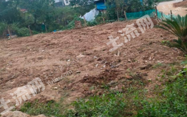 江西省宜春市樟树市 600平方 空闲用地出租