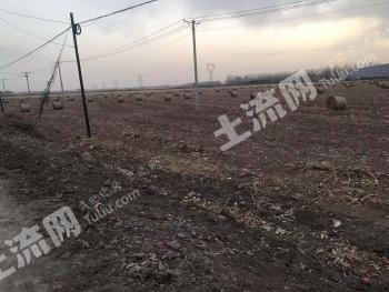 沈阳苏家屯区 10亩 旱地 经营权出租