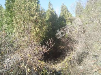 鹤壁淇县 2200亩 荒山 使用权出租