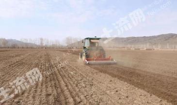 菏泽单县 2.4亩 水浇地 经营权出租